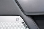 2021-2026 Ford F-150 Lariat Door Panels, Black B&O Sound Ambient OEM
