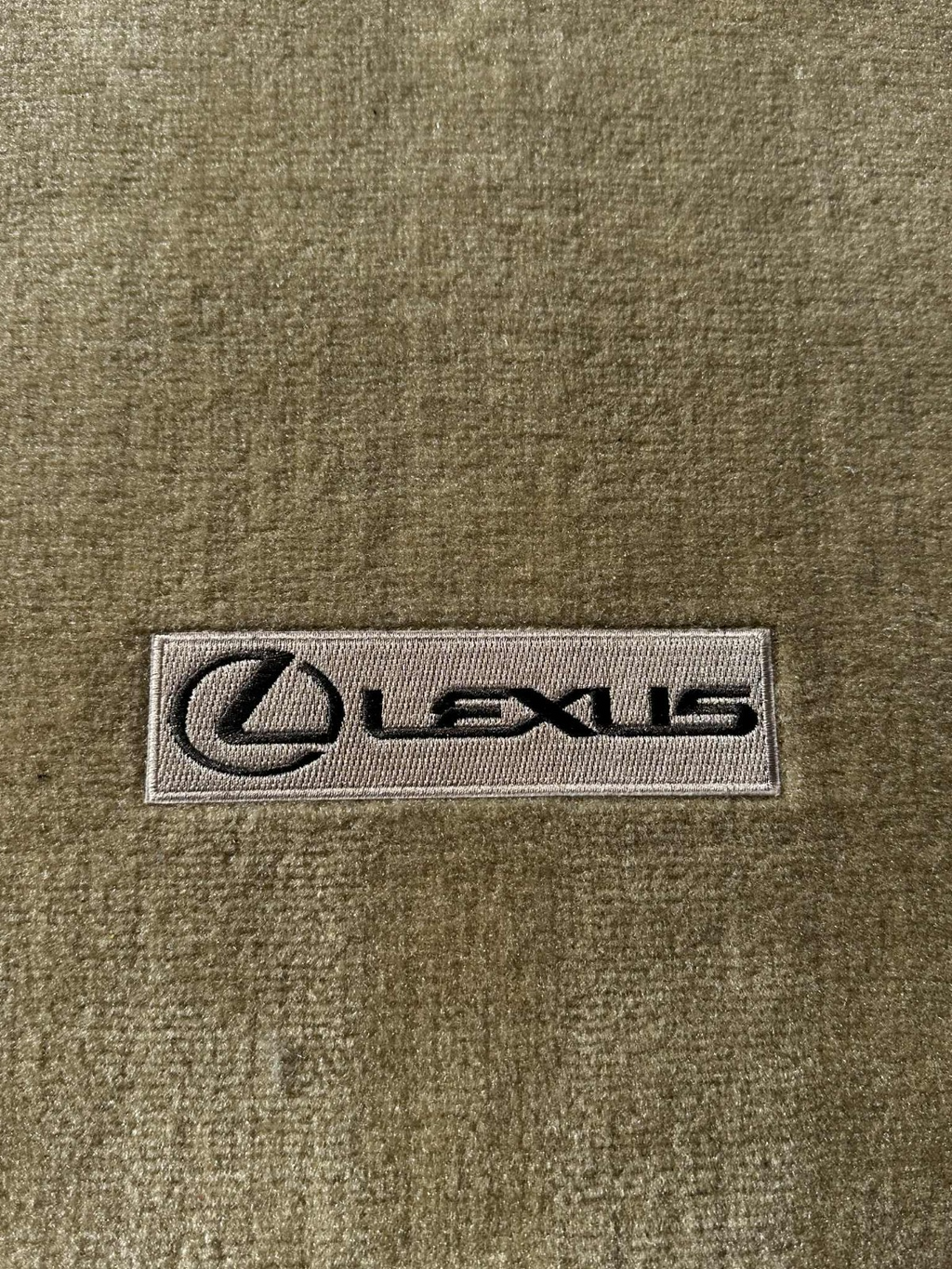 2010 - 2015 Lexus RX350 RX450H OEM Trunk Carpet Floor Mat, Beige Tan