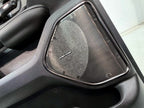 2019 - 2026 Ram 1500 Door Panels, Crew Cab RHO Black OE Carbon Fiber, ZERO MILES